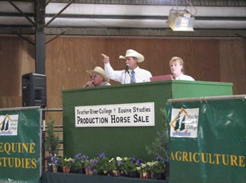 Auctioneer Eric Duarte, Commentator Mike Dean, and Crystal preparing for the first horse