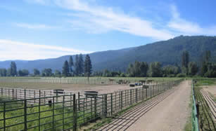 Dry Lots and Pasture