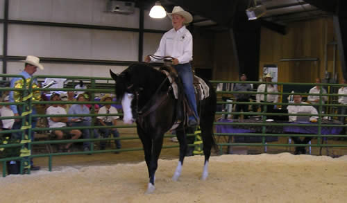 Horse #1: Sonny ridden by Charissa.