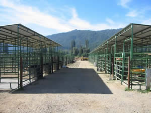 Stalls where student's horses are boarded
