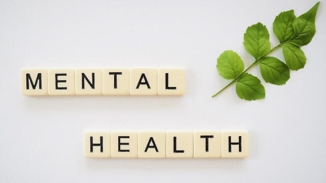 Mental health and wellness